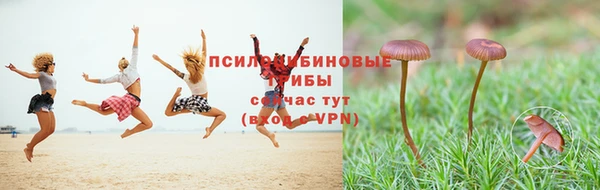 ECSTASY Армянск