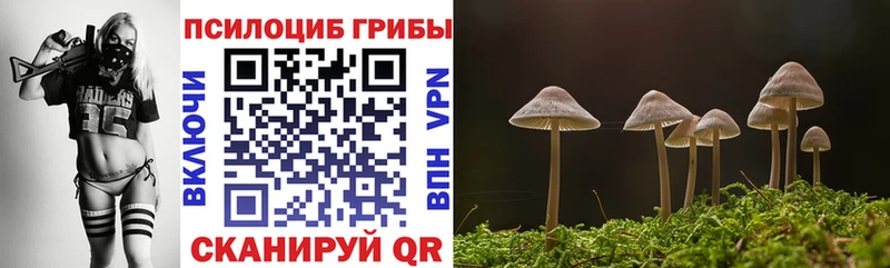 mega сайт  darknet наркотические препараты  Галлюциногенные грибы Psilocybine cubensis  Аша 